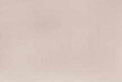 Elysium Фокс Е203732 фон