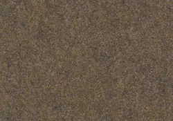 Forte 96005