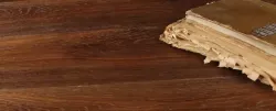 Дуб Мускат