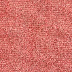 Sense 449