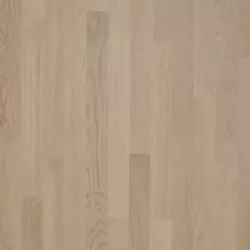 Дуб Тибр