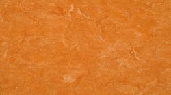 линолеум 0073 Spicy Orange