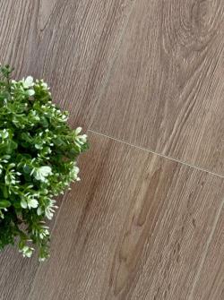 Дуб Колумб AQ-11