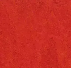 Scarlet 333131