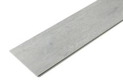 Silver 01002