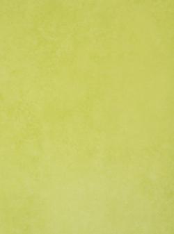 Коммерческий  линолеум Emerald Standart 72413