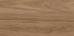 Керамогранит Шварц 6260-0196 натуральный 30*60