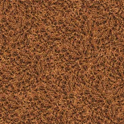 A995 5401 T