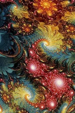 C016 MULTICOLOR