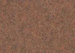 Forte 96006