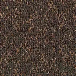 Tessera Format 606
