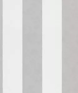 Shades Iconic 34408