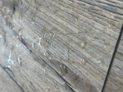 Дуб Дрейк AQ-14