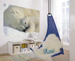 1-605 Polar Bears