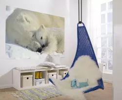 1-605 Polar Bears