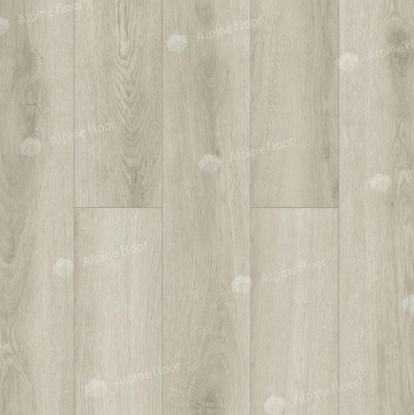 Изображение Ламинат Alpine Floor Дуб Неаполь LF100-08 