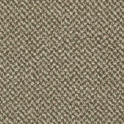 Изображение Ковролин Associated Weavers Stainaway Tweed 24 