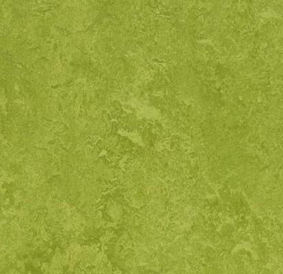 Изображение Линолеум Мармолеум Fresco 2,5 3247 green 