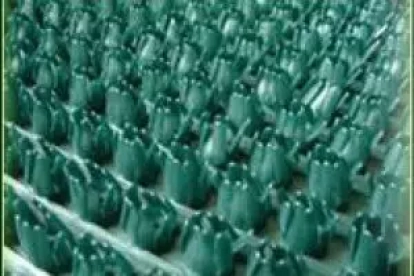 Изображение Грязезащитные покрытия Щетинистые покрытия Альфа Стиль Зеленый металик 168 