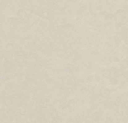 Изображение Линолеум Мармолеум Fresco 2,5 3257 edelweiss 