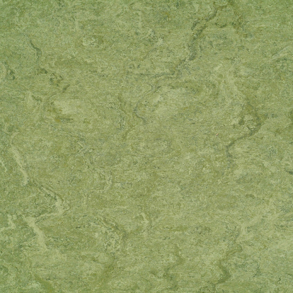 Изображение Линолеум Мармолеум 125-100 frog green 