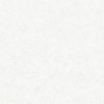 Изображение Обои Rasch Bright Whisper W197101 