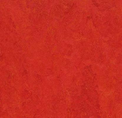 Изображение Линолеум Мармолеум Fresco 2,5 3131 scarlet 