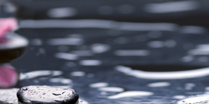 Изображение Керамическая плитка Нефрит-Керамика Вставка 04-01-1-10-04-04-162-2 Орхидея 