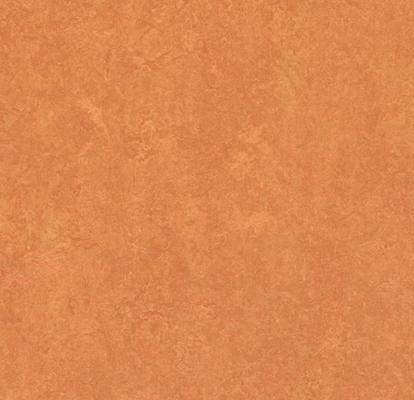 Изображение Линолеум Мармолеум Fresco 2,5 3825 African desert 