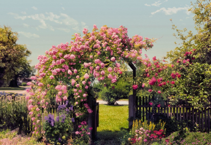 Изображение Обои Komar 8-936 Rose Garden 