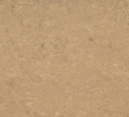 Изображение Линолеум Мармолеум 0042 Shortcrust 