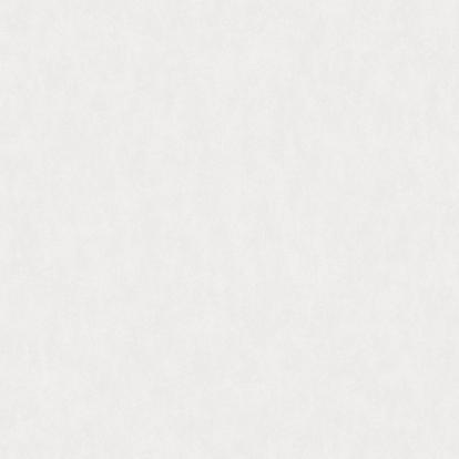 Изображение Обои Rasch Bright Whisper W190013 