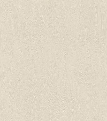 Изображение Обои Rasch Allegretto 540826 