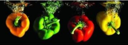 Изображение Стеновые панели Кухонные фартуки Перцы 