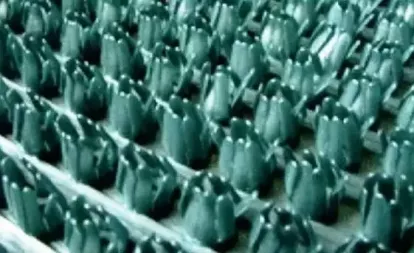 Изображение Грязезащитные покрытия Щетинистые покрытия Зеленый металлик 168 