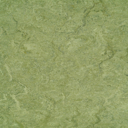 Изображение Линолеум Мармолеум 121-100 frog green 