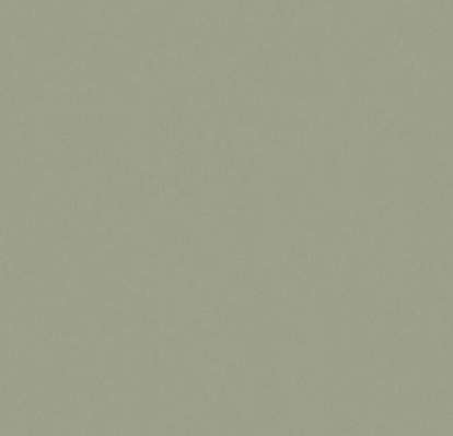 Изображение Линолеум Forbo Sarlon 15dB 0858T4315 artichoke uni 