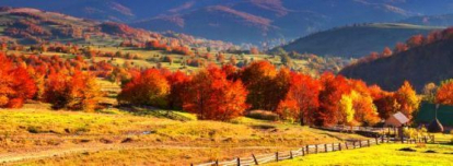 Изображение Стеновые панели Кухонные фартуки Природа 471 
