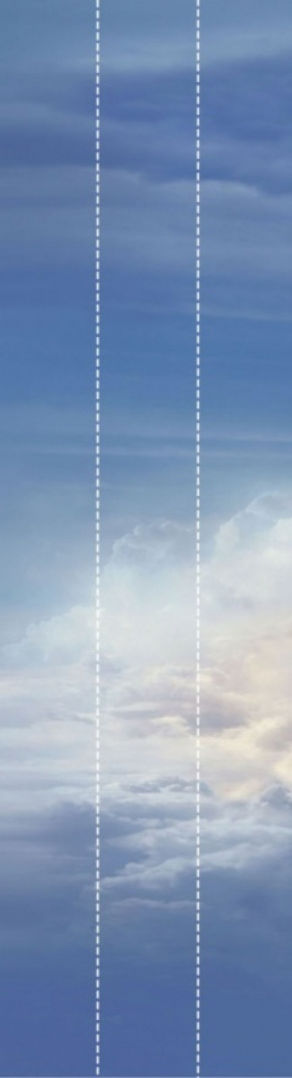 Изображение Стеновые панели Листовые Воздушный замок В левое 