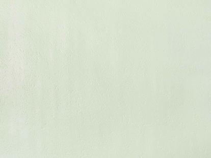 Изображение Обои Elysium Elysium Эвкалипт 908610 