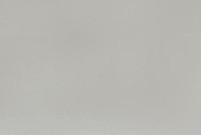 Изображение Обои Elysium Elysium Фокс Е203725 фон 