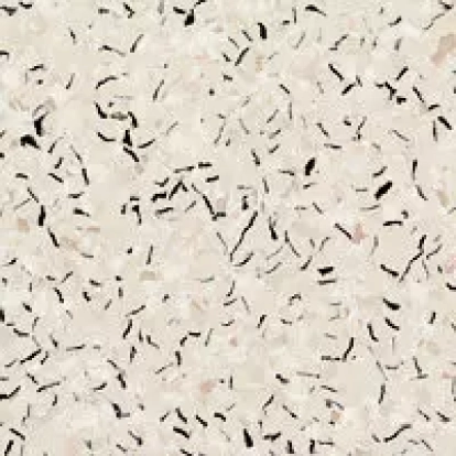 Изображение Линолеум Tarkett Beige 104 