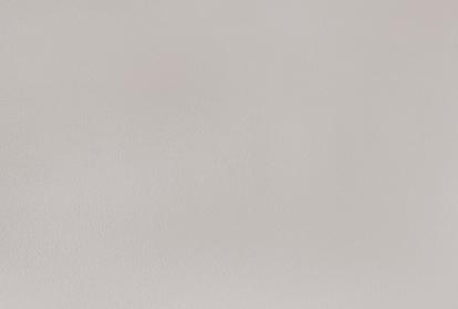 Изображение Обои Elysium Elysium Фокс Е203724 фон 