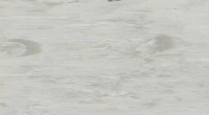 Изображение Линолеум Gerflor 0108 Pepper 