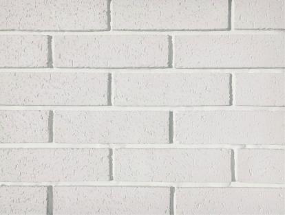 Изображение Стеновые панели Декоративный камень Кирпич фасадный 1-00-00 
