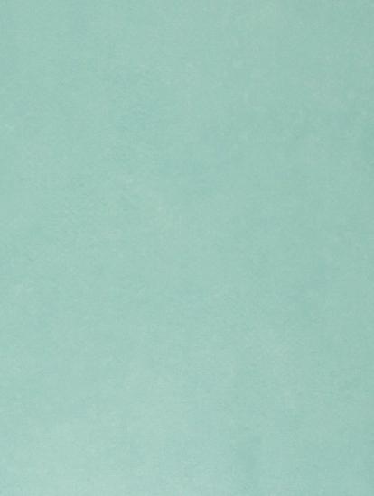 Изображение Линолеум Forbo Emerald Standart 72408 