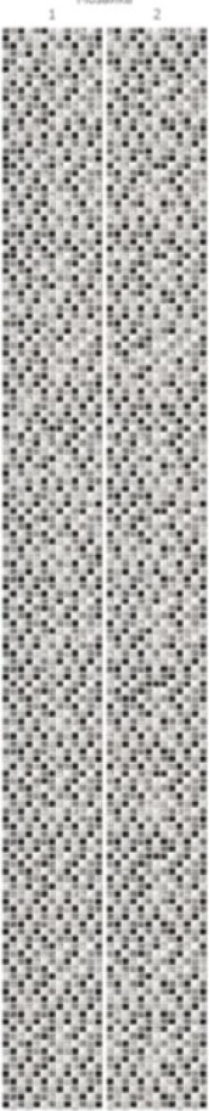 Изображение Стеновые панели ПВХ Магна мозаика 