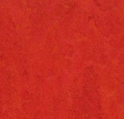 Изображение Линолеум Мармолеум Marbled 3131 