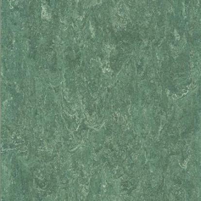 Изображение Линолеум Мармолеум 121-144 moss green 