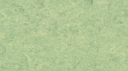 Изображение Линолеум Мармолеум 0130 Antique Green 